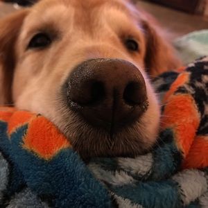 Meet your Posher, Jill